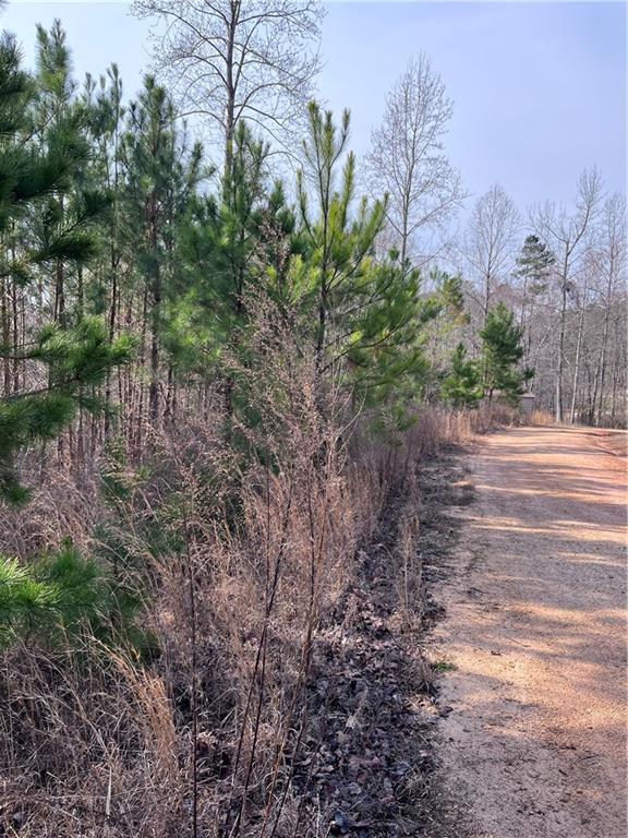 S Lakeview Drive, Fair Play, South Carolina image 15