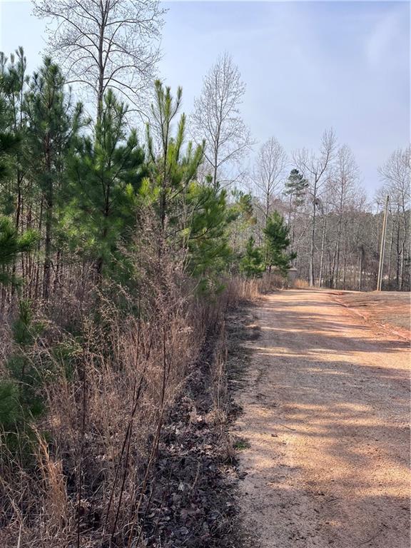 S Lakeview Drive, Fair Play, South Carolina image 16