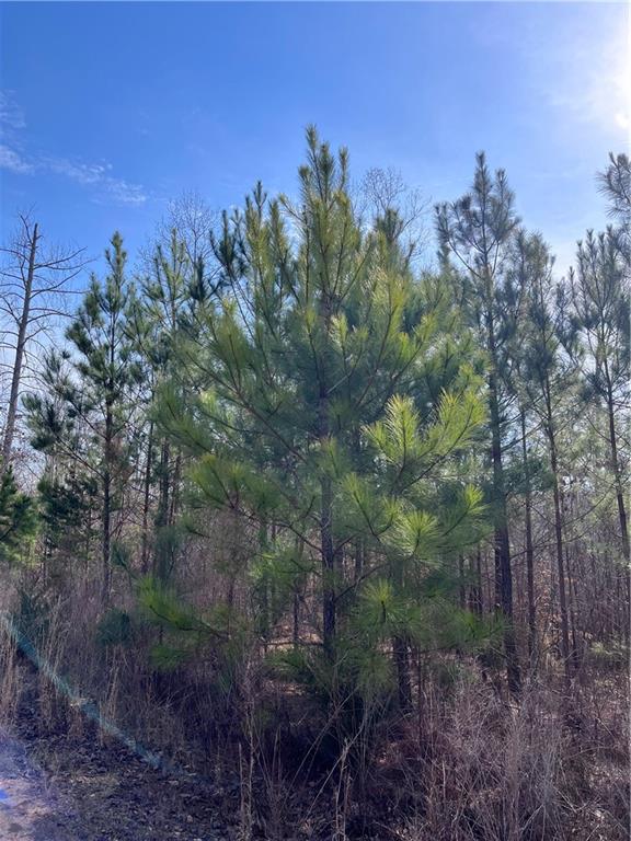 S Lakeview Drive, Fair Play, South Carolina image 12