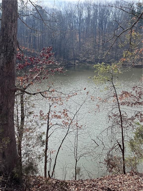 S Lakeview Drive, Fair Play, South Carolina image 11