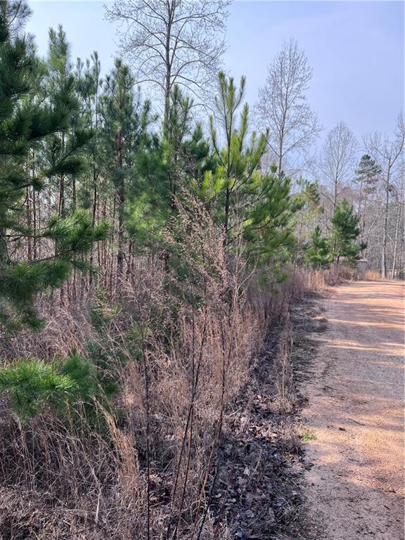 S Lakeview Drive, Fair Play, South Carolina image 13