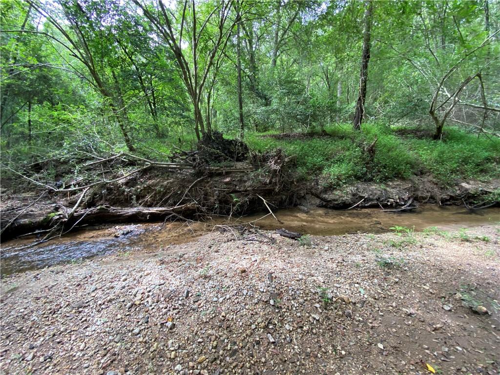 300 Oak Tree Drive, Honea Path, South Carolina image 18
