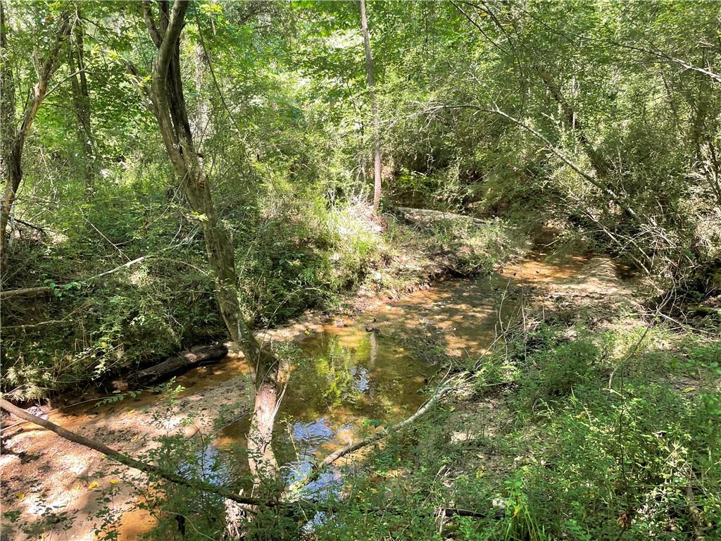 300 Oak Tree Drive, Honea Path, South Carolina image 2