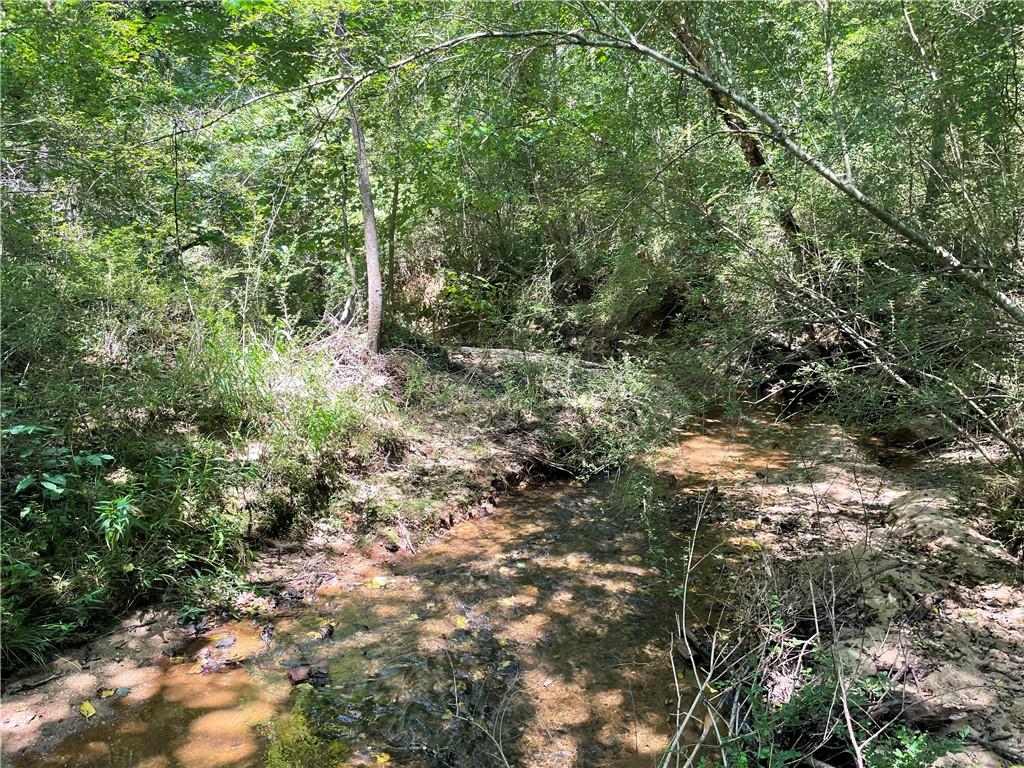 300 Oak Tree Drive, Honea Path, South Carolina image 14