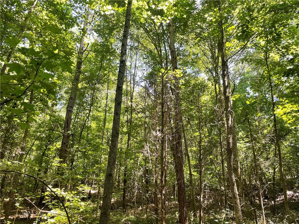 300 Oak Tree Drive, Honea Path, South Carolina image 5