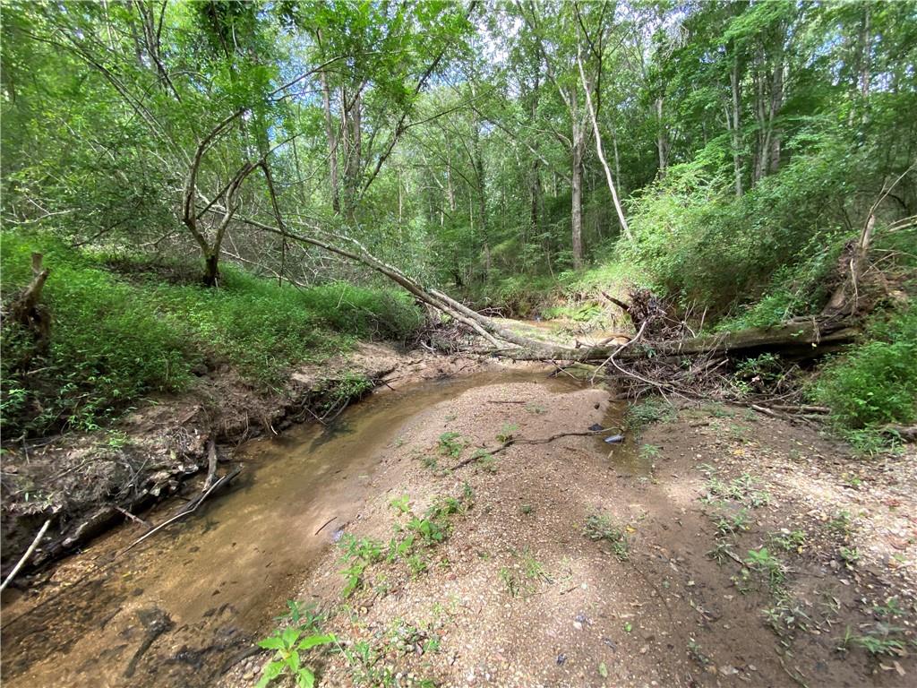300 Oak Tree Drive, Honea Path, South Carolina image 19