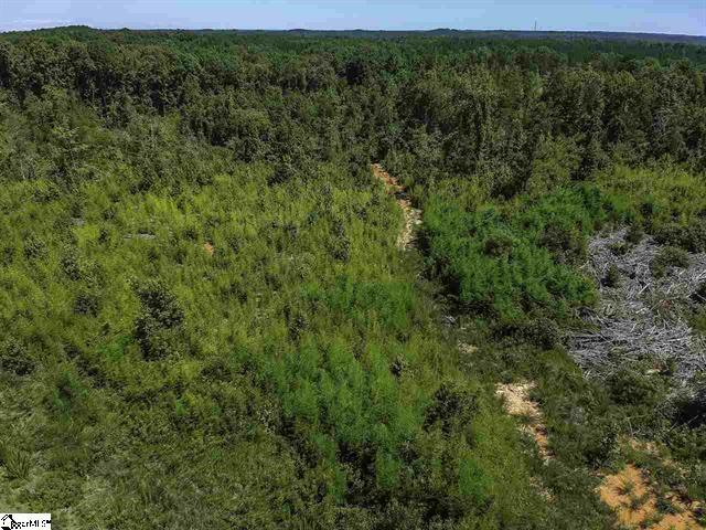 Roddy Road, Woodruff, South Carolina image 6
