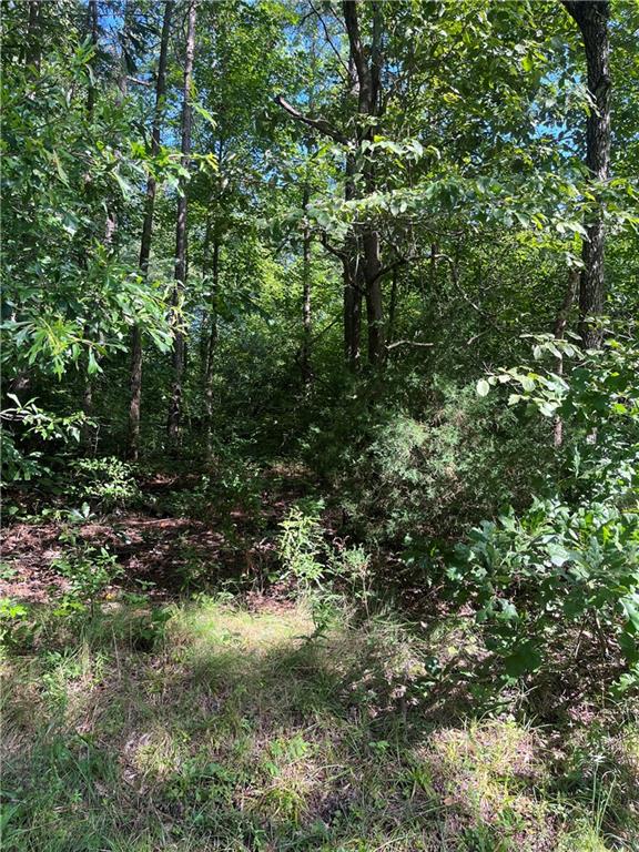 Pine Knoll Drive, Fair Play, South Carolina image 3