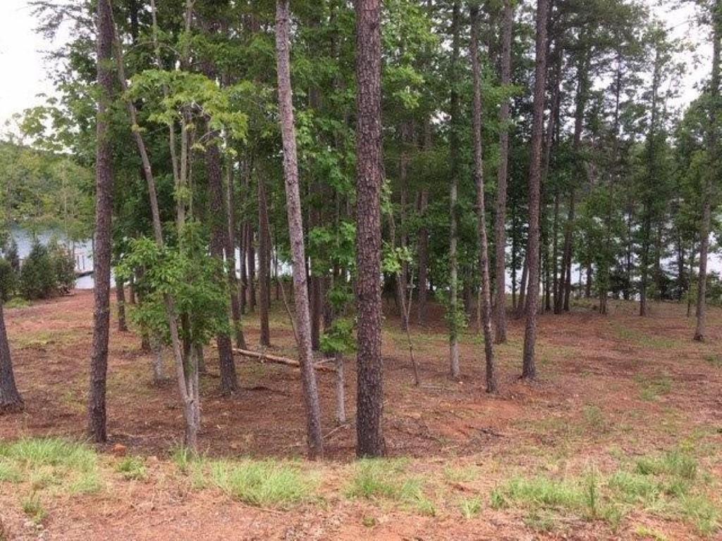 155 Edgewater Drive, Sunset, South Carolina image 3
