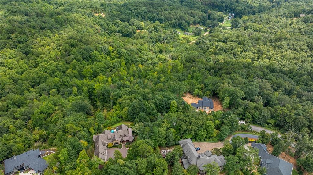 26 Crescent Pinyon Way, Marietta, South Carolina image 12