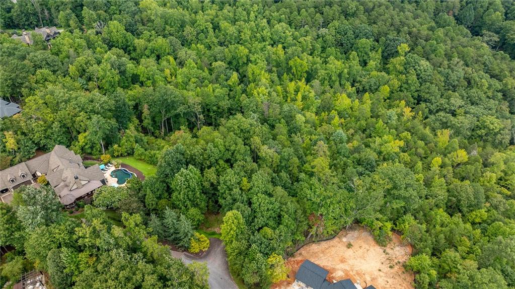 26 Crescent Pinyon Way, Marietta, South Carolina image 3