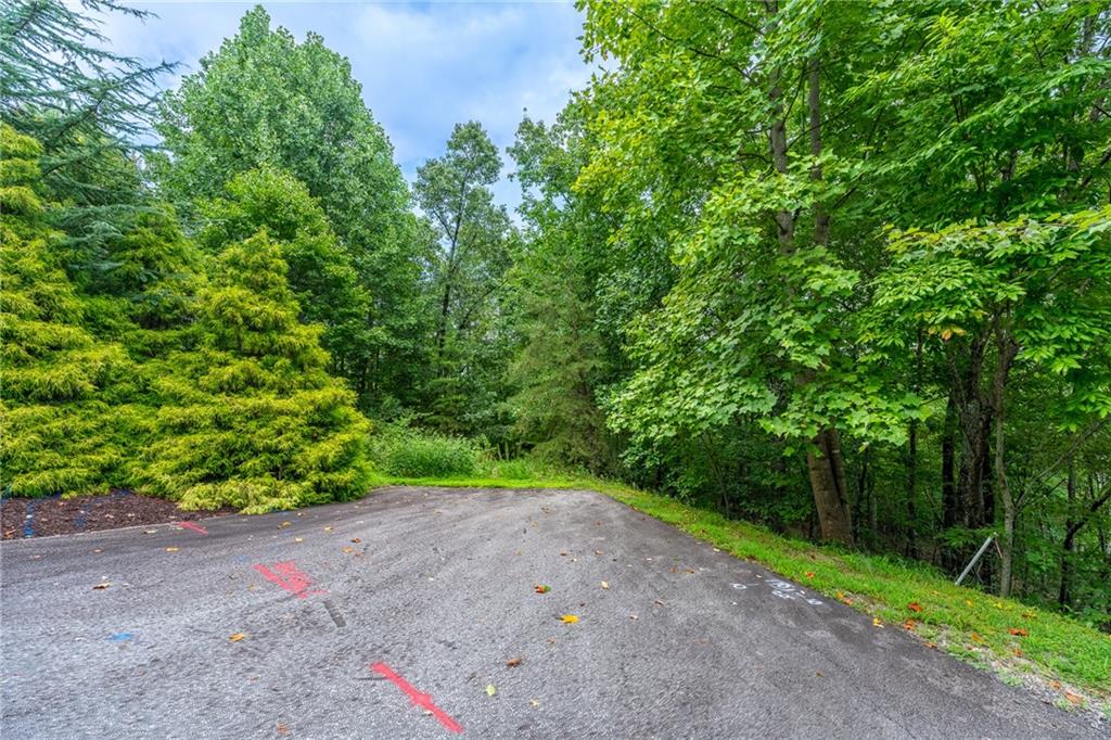26 Crescent Pinyon Way, Marietta, South Carolina image 2
