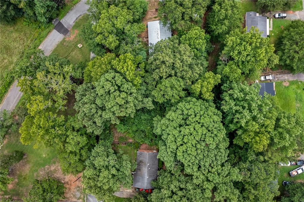 4 Park Street, Williamston, South Carolina image 7