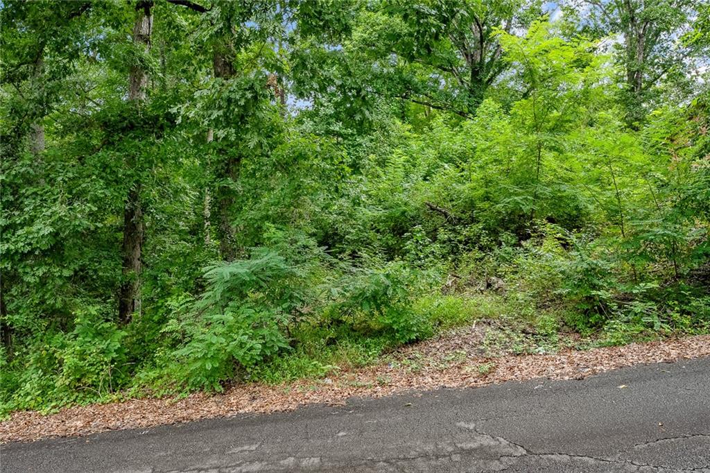 4 Park Street, Williamston, South Carolina image 3