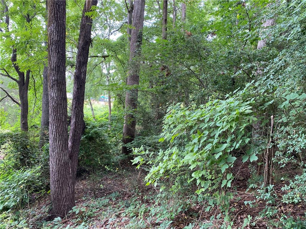 211 Elizabeth Lane, Anderson, South Carolina image 3