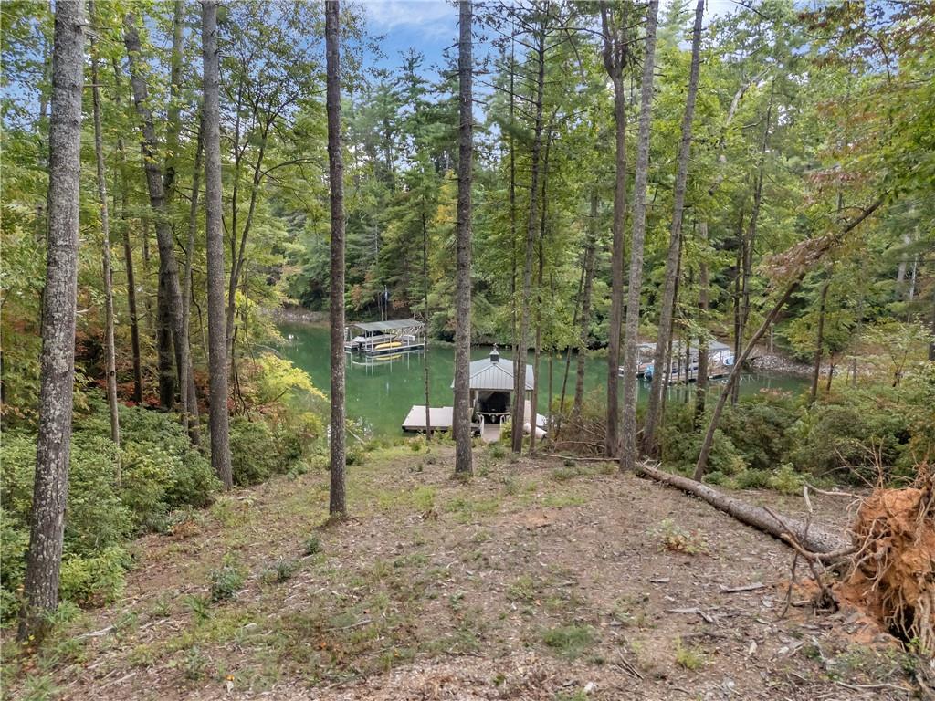 113 Coral Beads Way, Sunset, South Carolina image 18