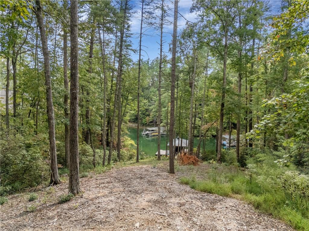 113 Coral Beads Way, Sunset, South Carolina image 2