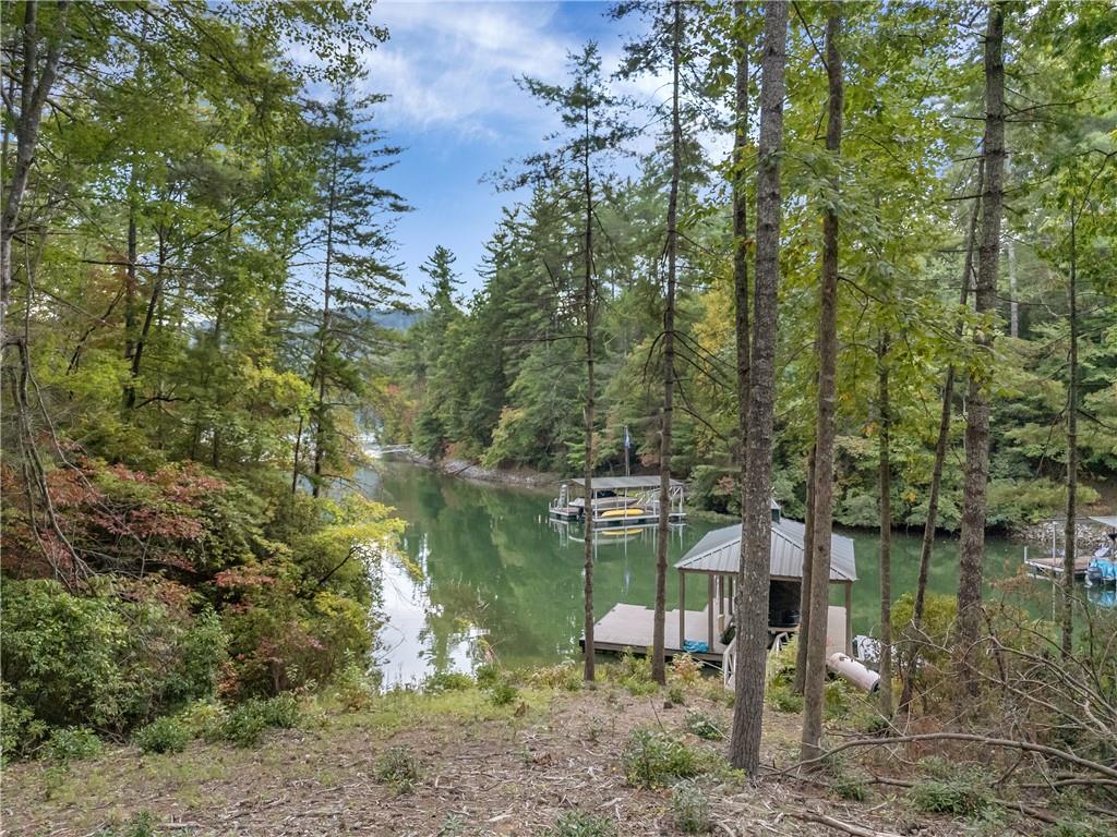 113 Coral Beads Way, Sunset, South Carolina image 19