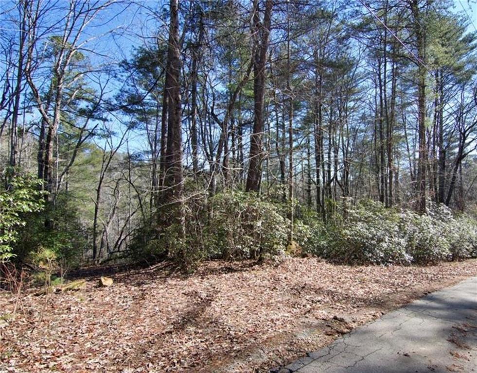 375 Gauley Falls Road, Pickens, South Carolina image 1