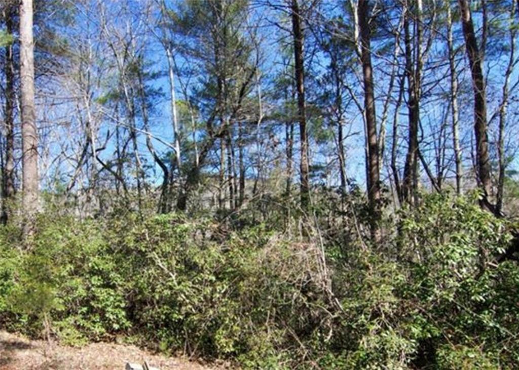375 Gauley Falls Road, Pickens, South Carolina image 2