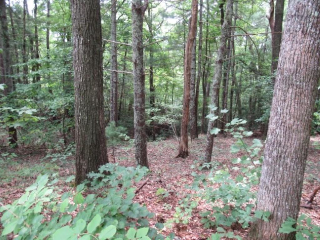 425 Whispering Falls Drive, Pickens, South Carolina image 2