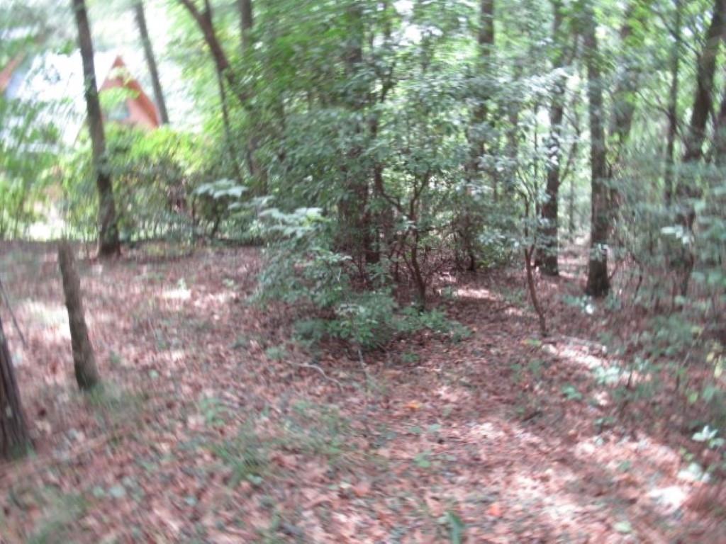 425 Whispering Falls Drive, Pickens, South Carolina image 8