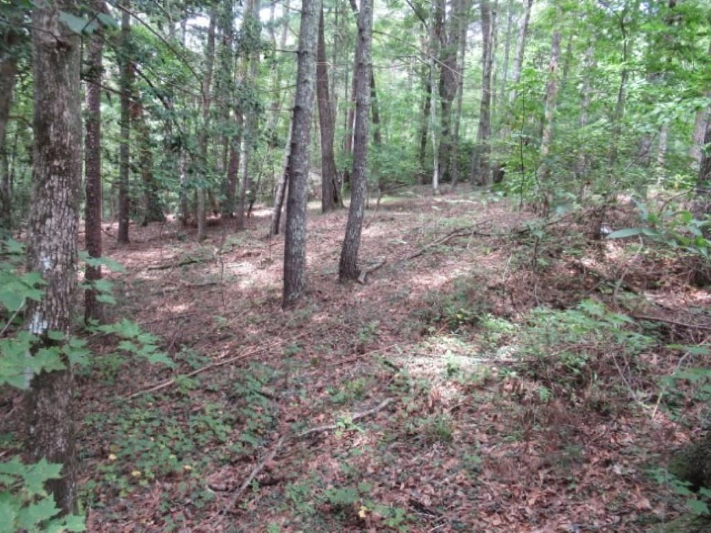 425 Whispering Falls Drive, Pickens, South Carolina image 7