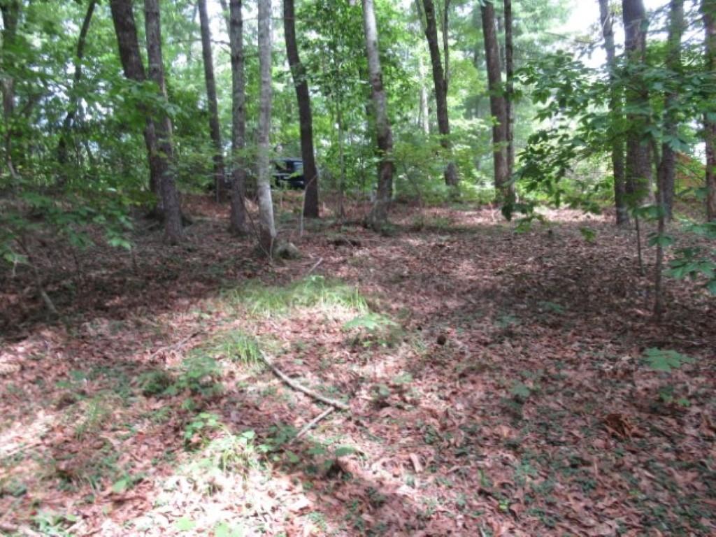 425 Whispering Falls Drive, Pickens, South Carolina image 14
