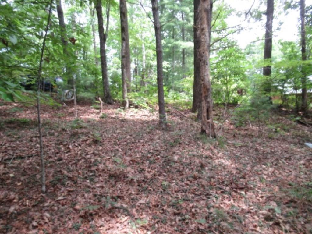 425 Whispering Falls Drive, Pickens, South Carolina image 9
