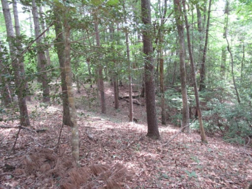 425 Whispering Falls Drive, Pickens, South Carolina image 13