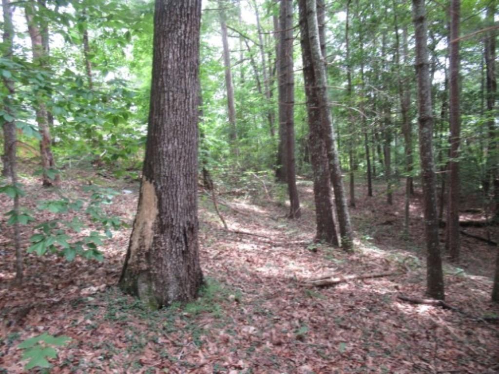 425 Whispering Falls Drive, Pickens, South Carolina image 15