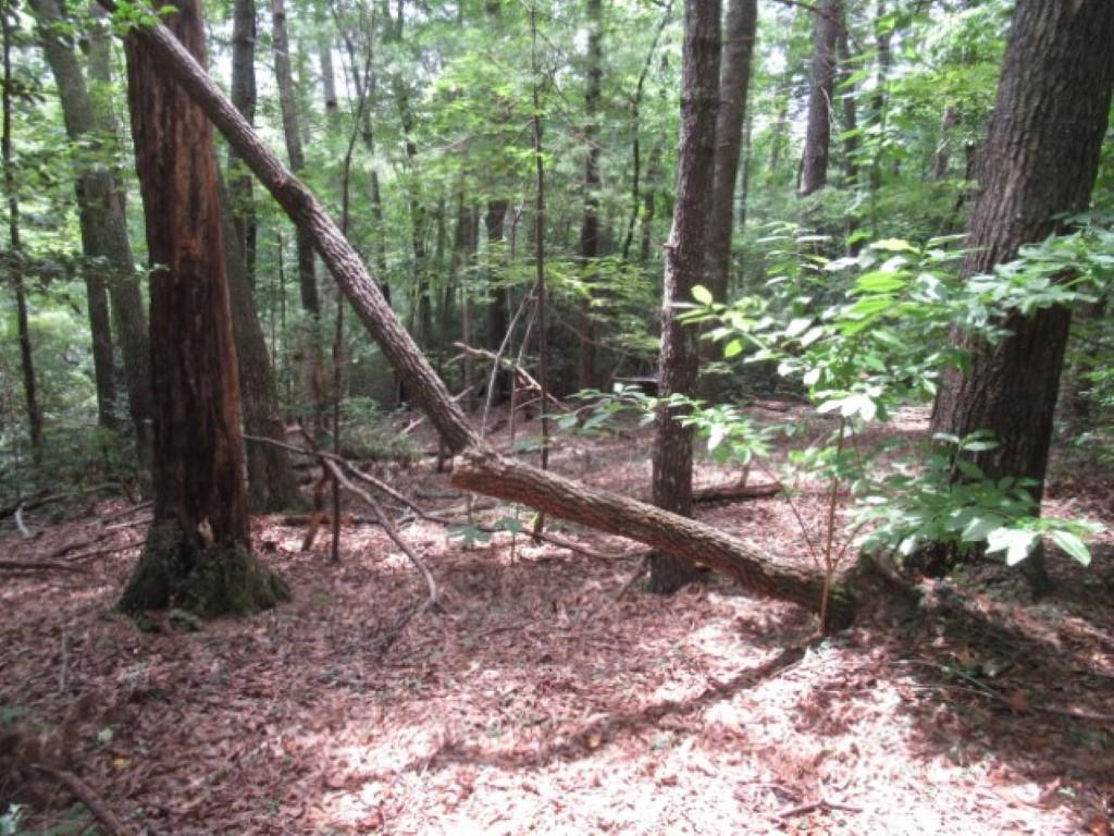 425 Whispering Falls Drive, Pickens, South Carolina image 11