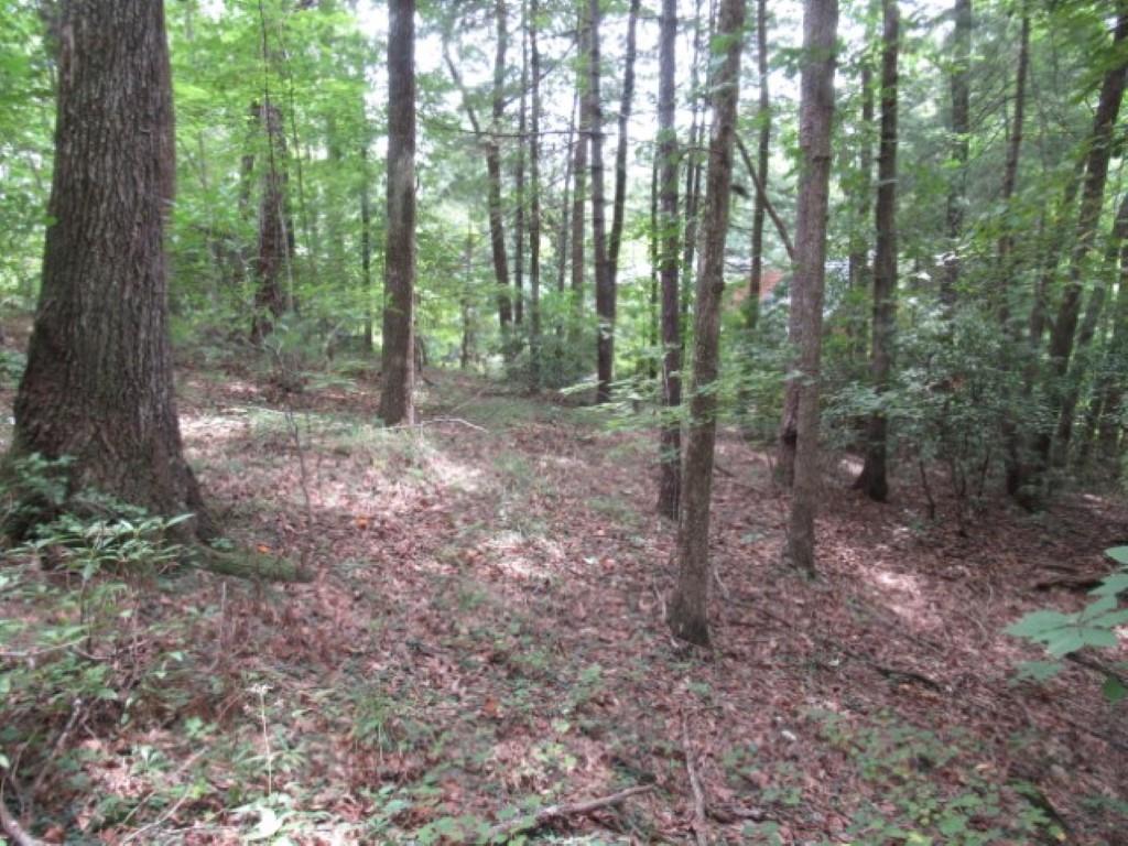 425 Whispering Falls Drive, Pickens, South Carolina image 5