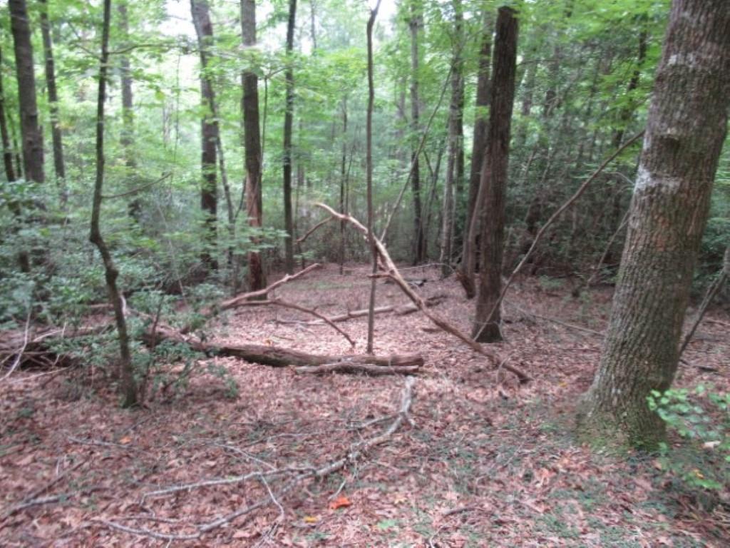 425 Whispering Falls Drive, Pickens, South Carolina image 12