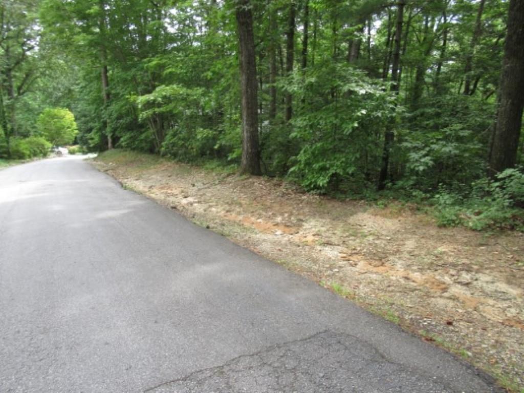 425 Whispering Falls Drive, Pickens, South Carolina image 1