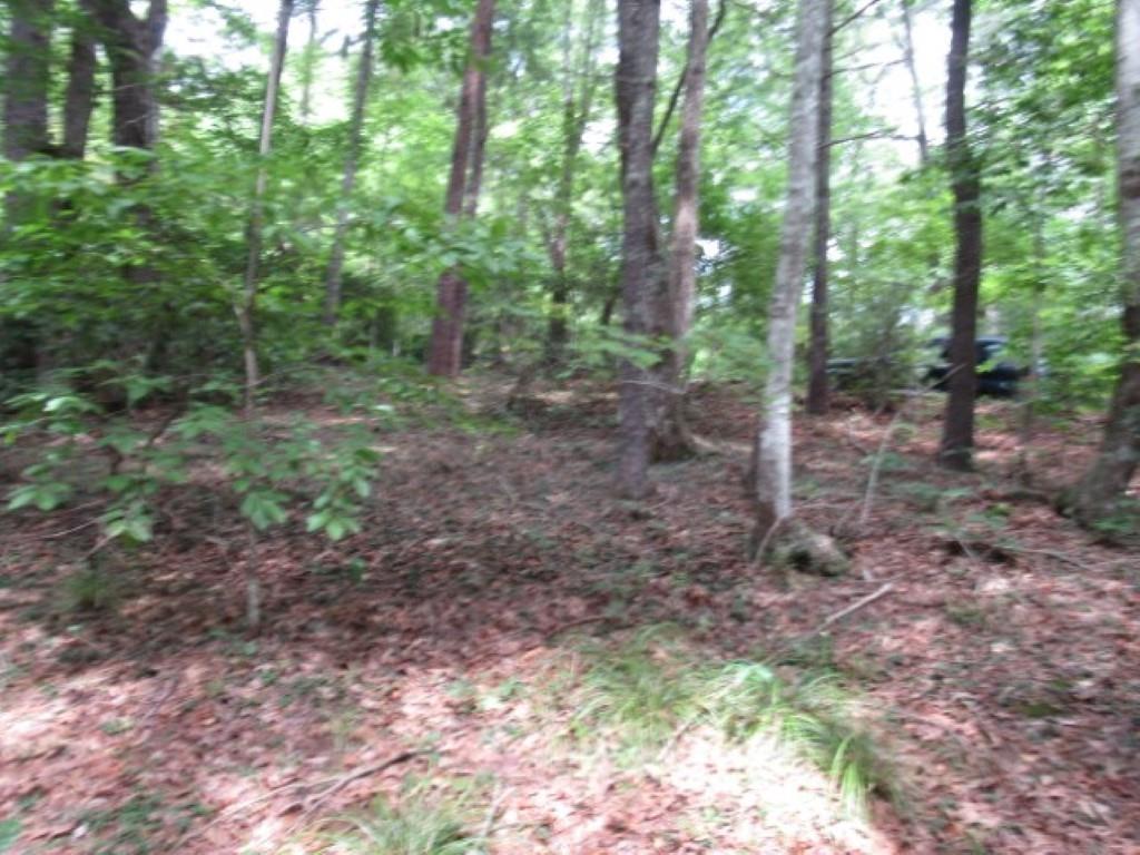425 Whispering Falls Drive, Pickens, South Carolina image 10
