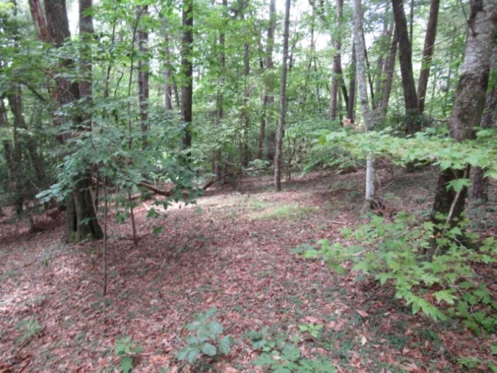 425 Whispering Falls Drive, Pickens, South Carolina image 3