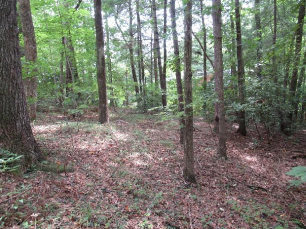 425 Whispering Falls Drive, Pickens, South Carolina image 6