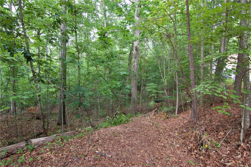 Lot 24 Coachmans Trail, West Union, South Carolina image 18