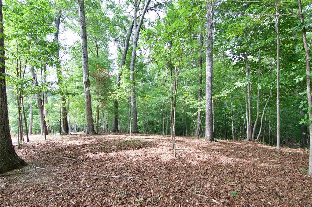 Lot 24 Coachmans Trail, West Union, South Carolina image 14