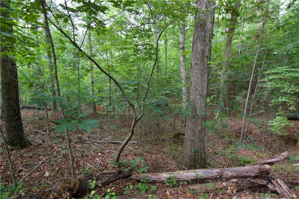 Lot 24 Coachmans Trail, West Union, South Carolina image 17
