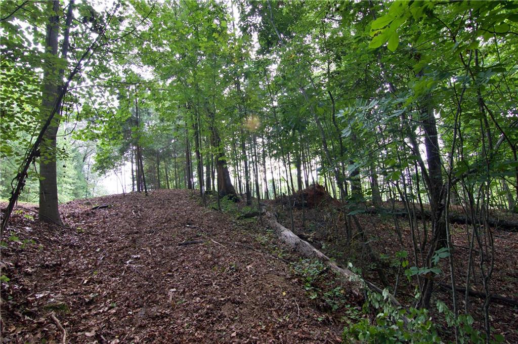 Lot 24 Coachmans Trail, West Union, South Carolina image 16
