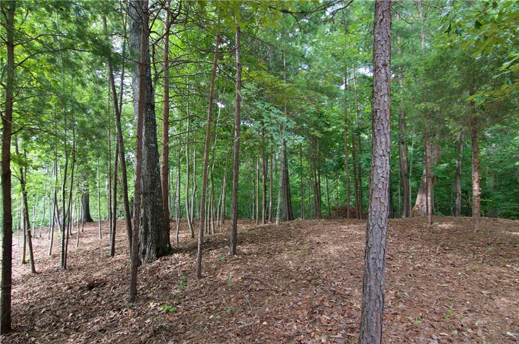 Lot 24 Coachmans Trail, West Union, South Carolina image 9