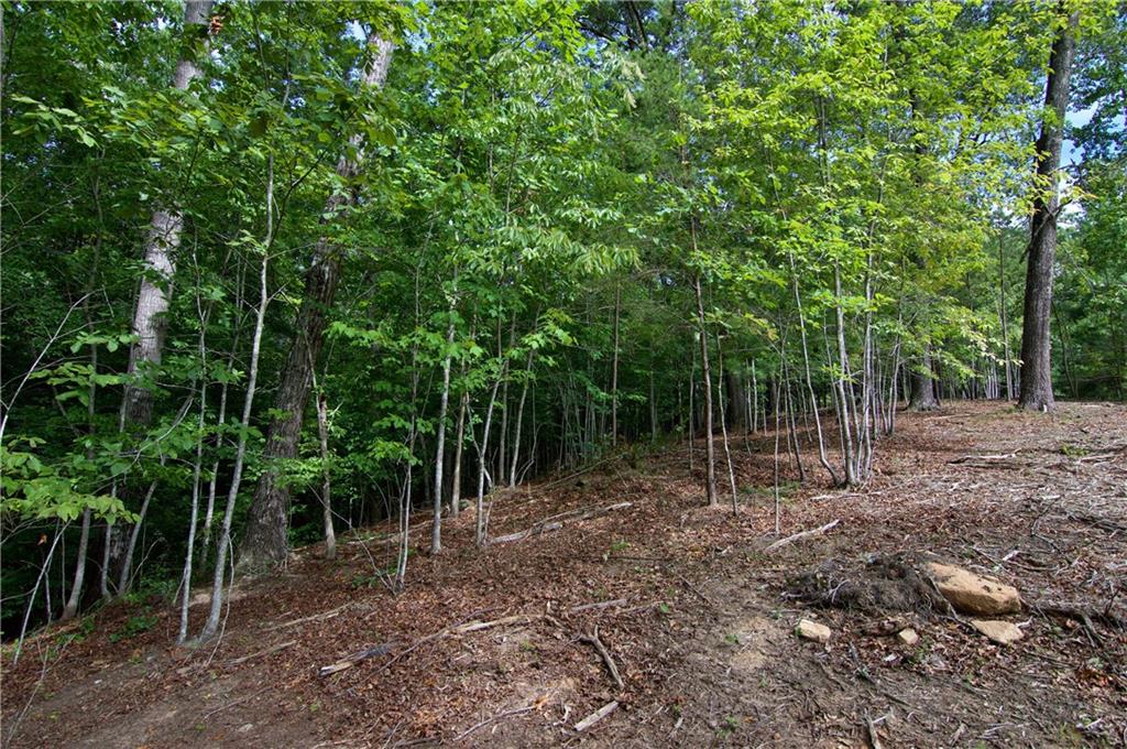 Lot 24 Coachmans Trail, West Union, South Carolina image 12