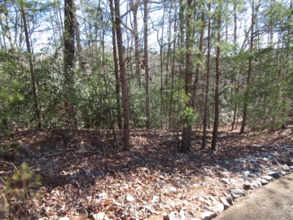 306 Woodmere Drive, Pickens, South Carolina image 16