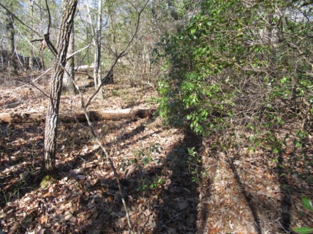306 Woodmere Drive, Pickens, South Carolina image 11