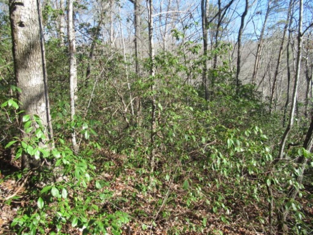 306 Woodmere Drive, Pickens, South Carolina image 12