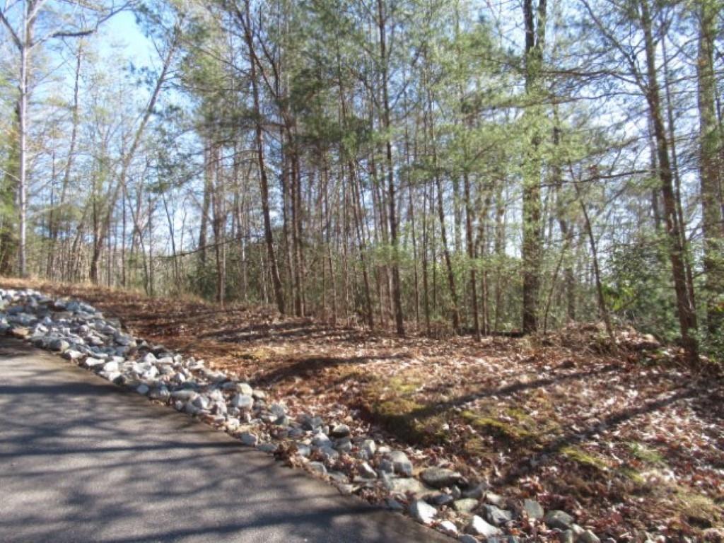 306 Woodmere Drive, Pickens, South Carolina image 2