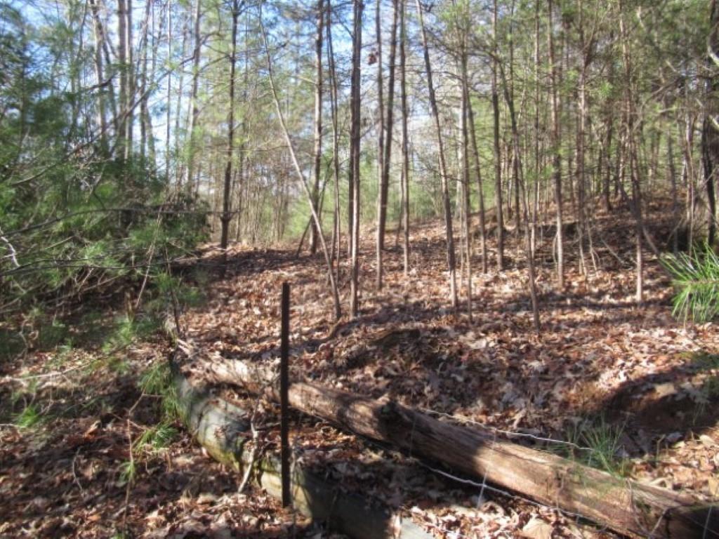 306 Woodmere Drive, Pickens, South Carolina image 10