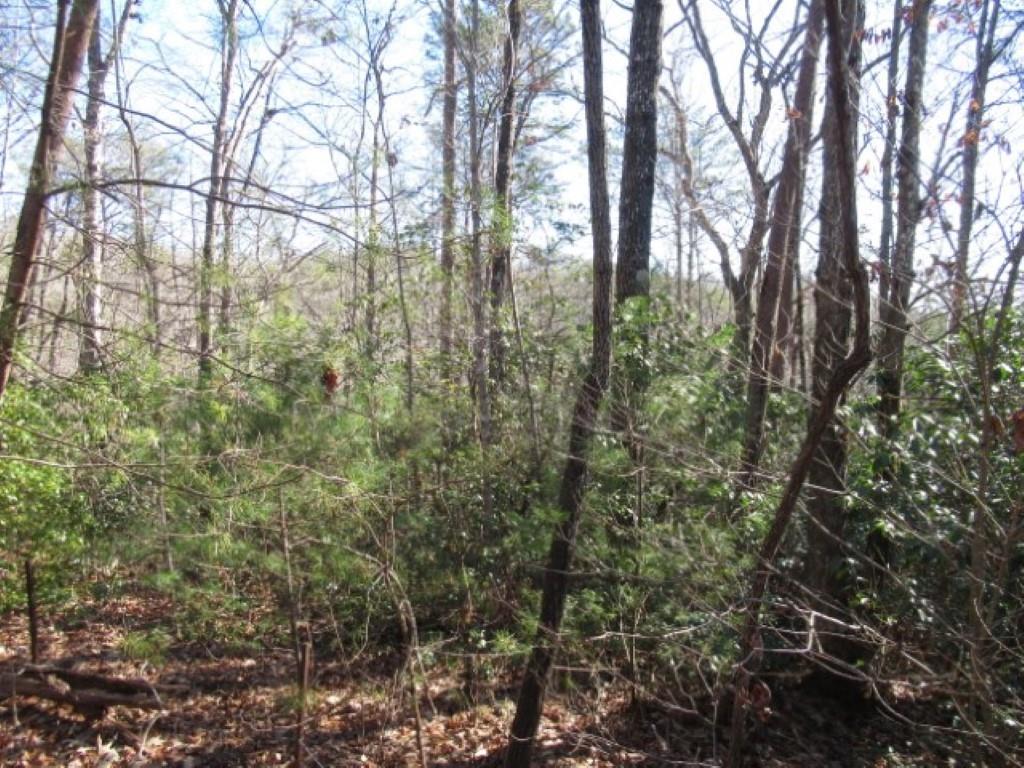 306 Woodmere Drive, Pickens, South Carolina image 8
